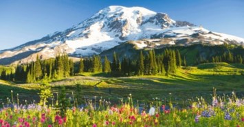 Obituary of Robert Clarke Johnson