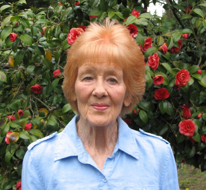 Obituary of Judy J Koons