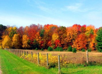 Obituario de Kathryn Sue Wood