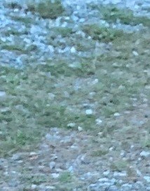 Michael Campbell Obituary - Waynesboro, VA