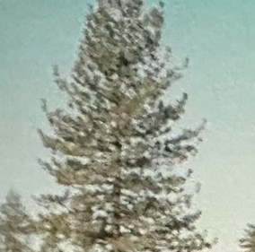 Douglas Aziz Obituary Los Angeles, CA