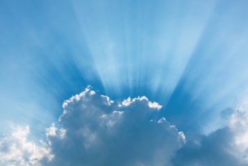 Obituary of David Rynders