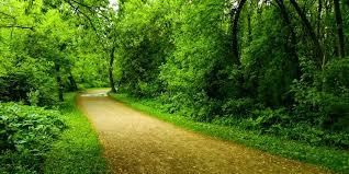 Obituary of Judith Lynn Roth