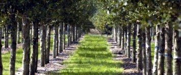 Obituary of Larry Wayne Gentry