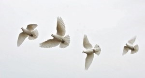 Obituary of Margaret Jordan