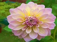 Obituary of Dolores Lola Ferraro