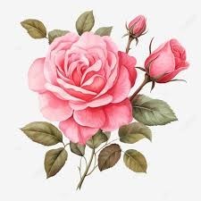 Obituary of Mary G. Groh