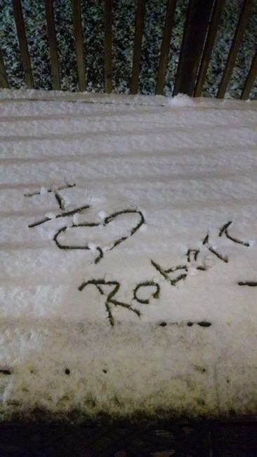 Obituary of Robert L Graff