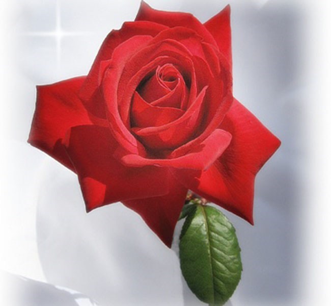 Obituary of Margaret Lee Payne Overton