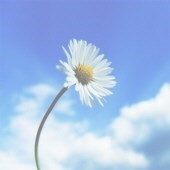 Obituary of Elizabeth Perez