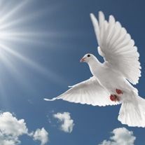 Obituary of Rebecca J. Allen