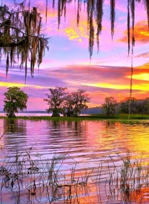 Obituary of Ramon Perez Acosta