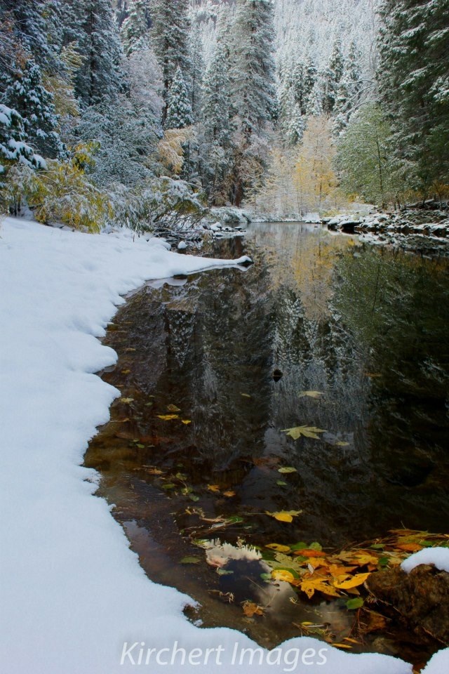 Obituary of Darryl John Werner