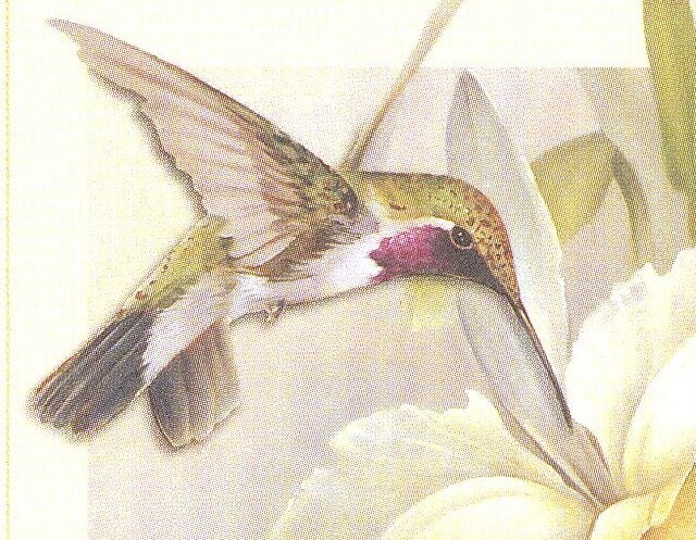 Obituario de Betty K. Cloyd