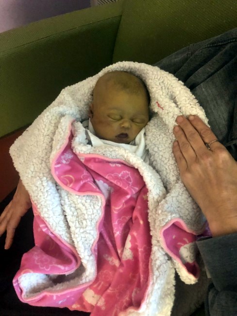 Obituary of Paisley Grace Knowles