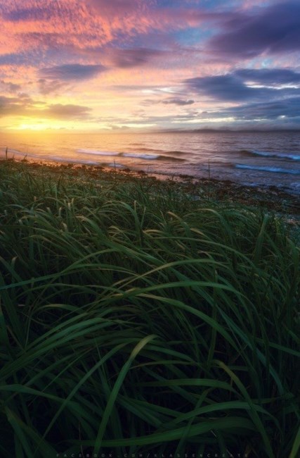 Obituary of Eunkyung SONG