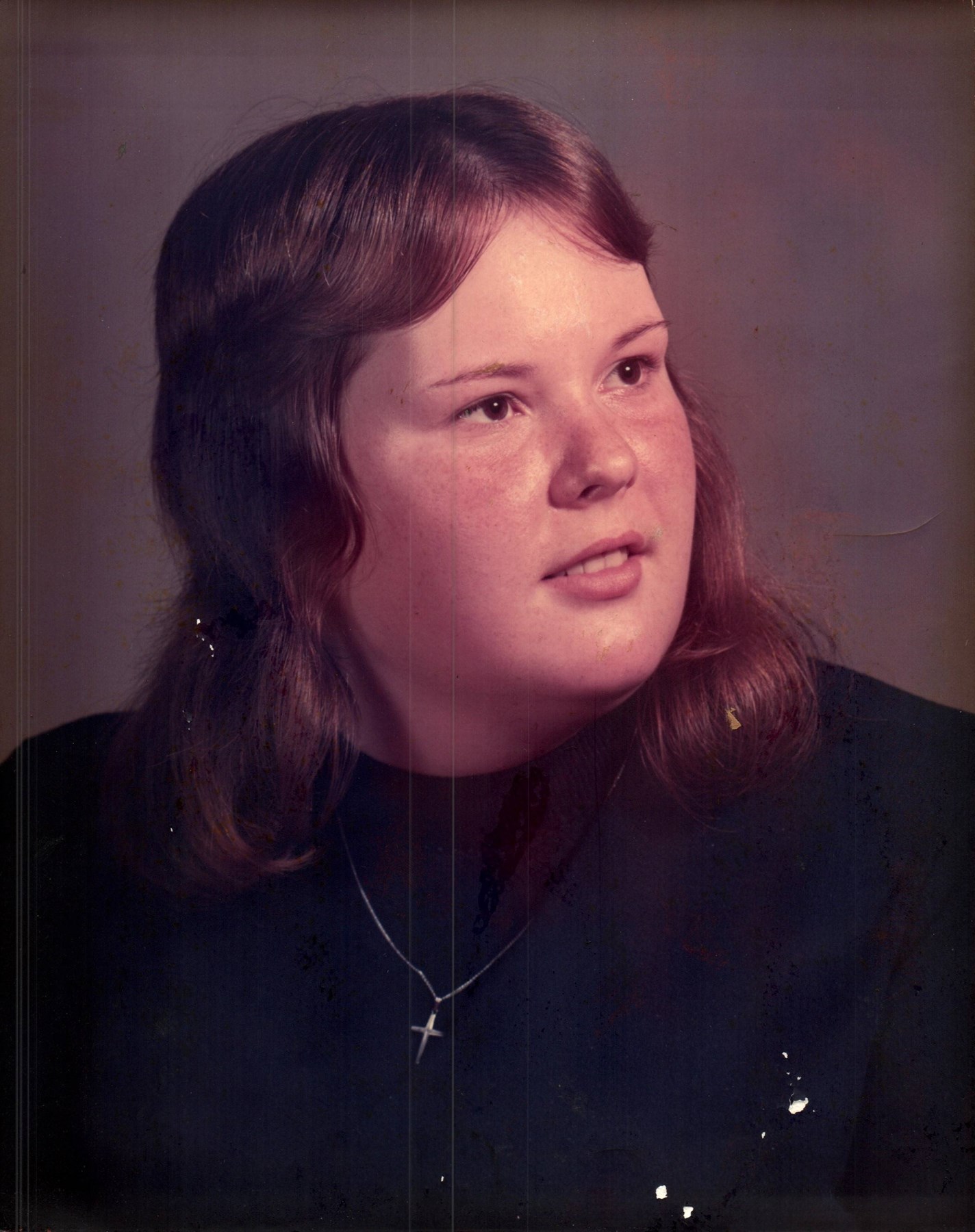 Susan Kay DeVries Obituary Lansing, MI