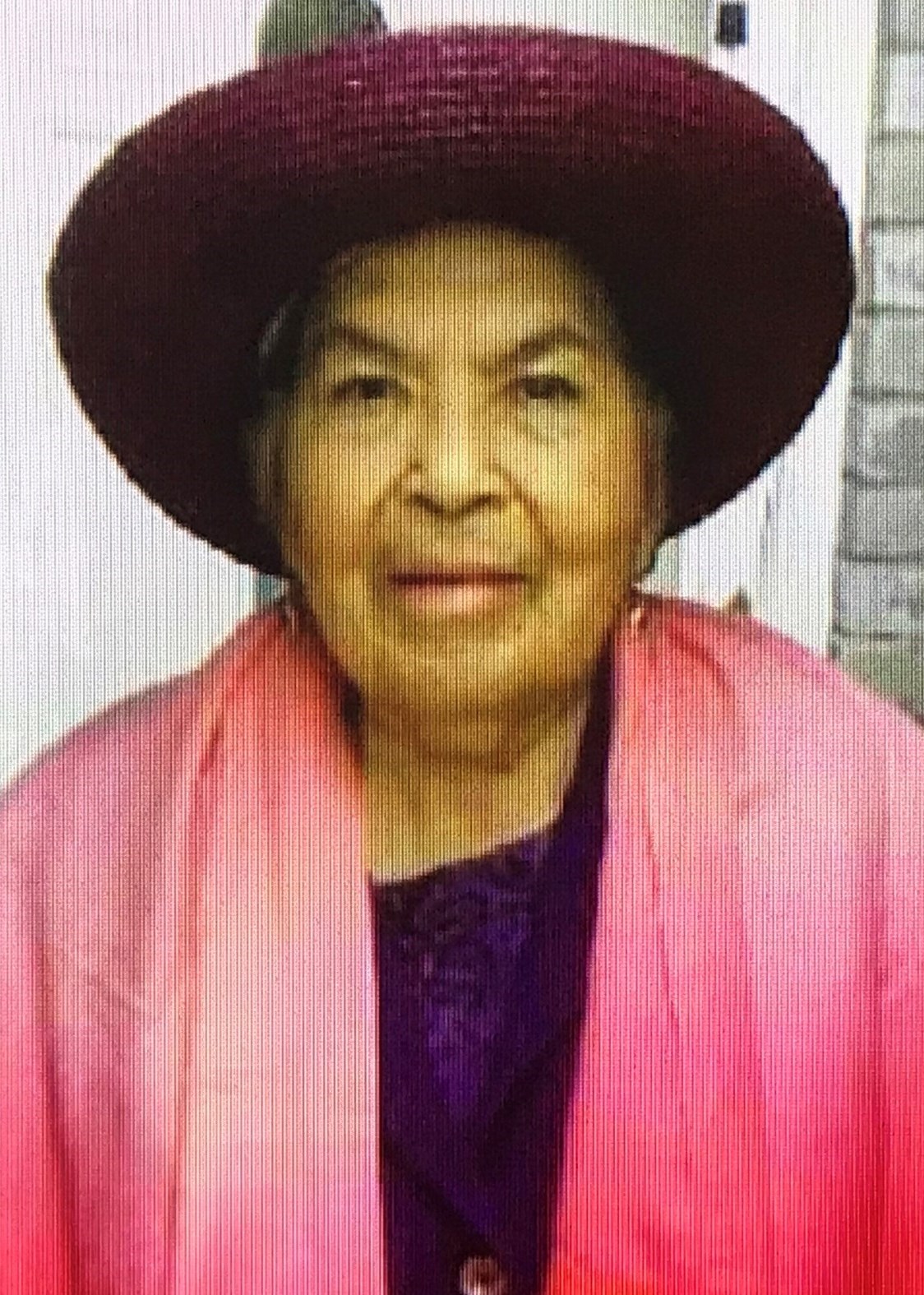 Paulina Flores Obituary Pharr, TX