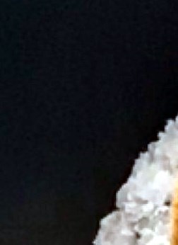 Diane Lee Willis Obituary Brentwood MD diane-lee-willis-obituary-brentwood-md