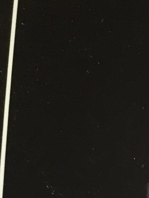 Donald D. Wilson Obituary Shreveport, LA