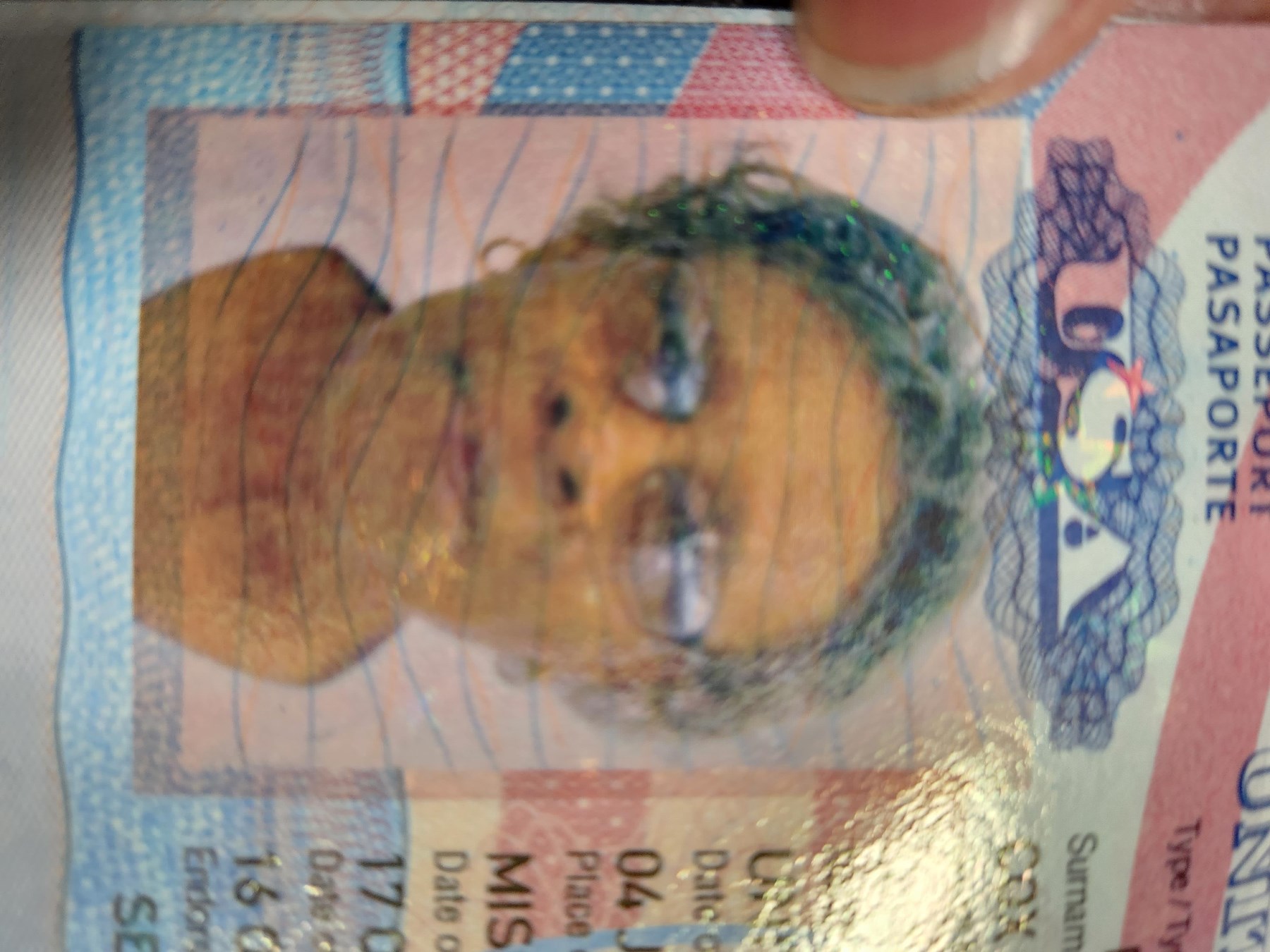 Sammye Lee Cox Obituary Memphis, TN