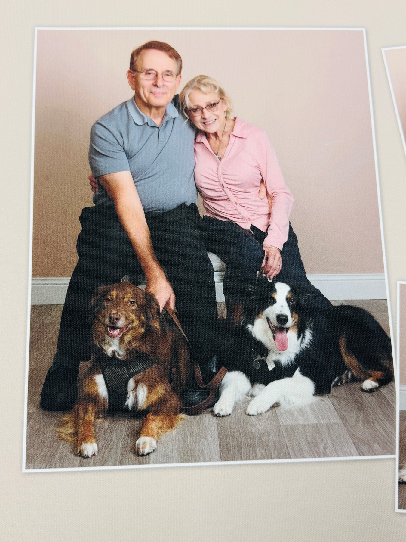 Obituary of Susan Ann Raimondi