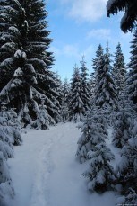 Obituario de Rachel Eller Vaughn