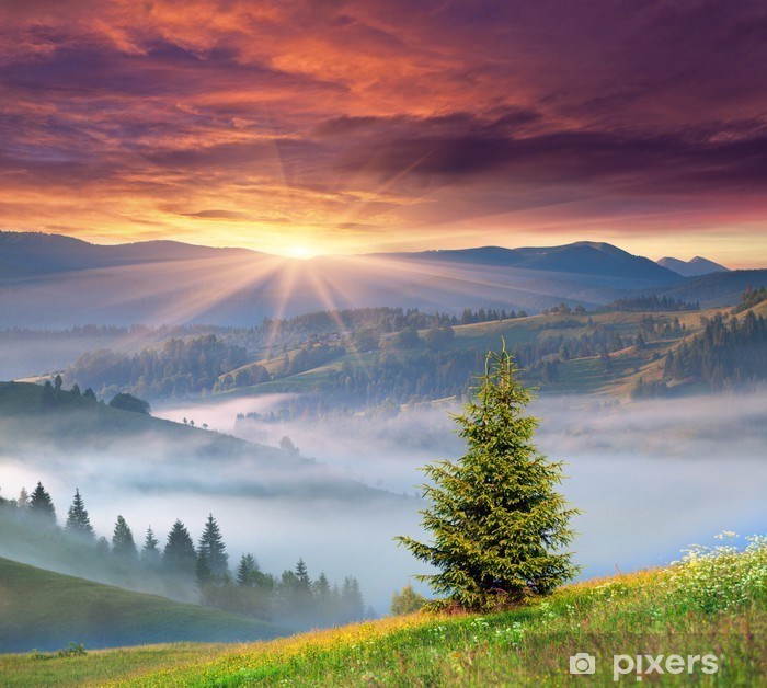 Obituary of Angela Jean Milburn