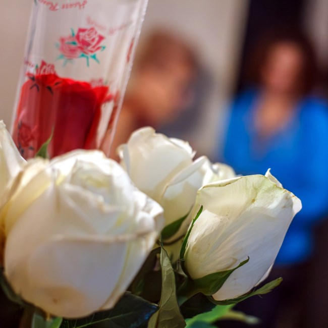 Obituary of Aleida Molina Febles