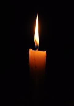 Obituary of Dianne Kathleen Lucas