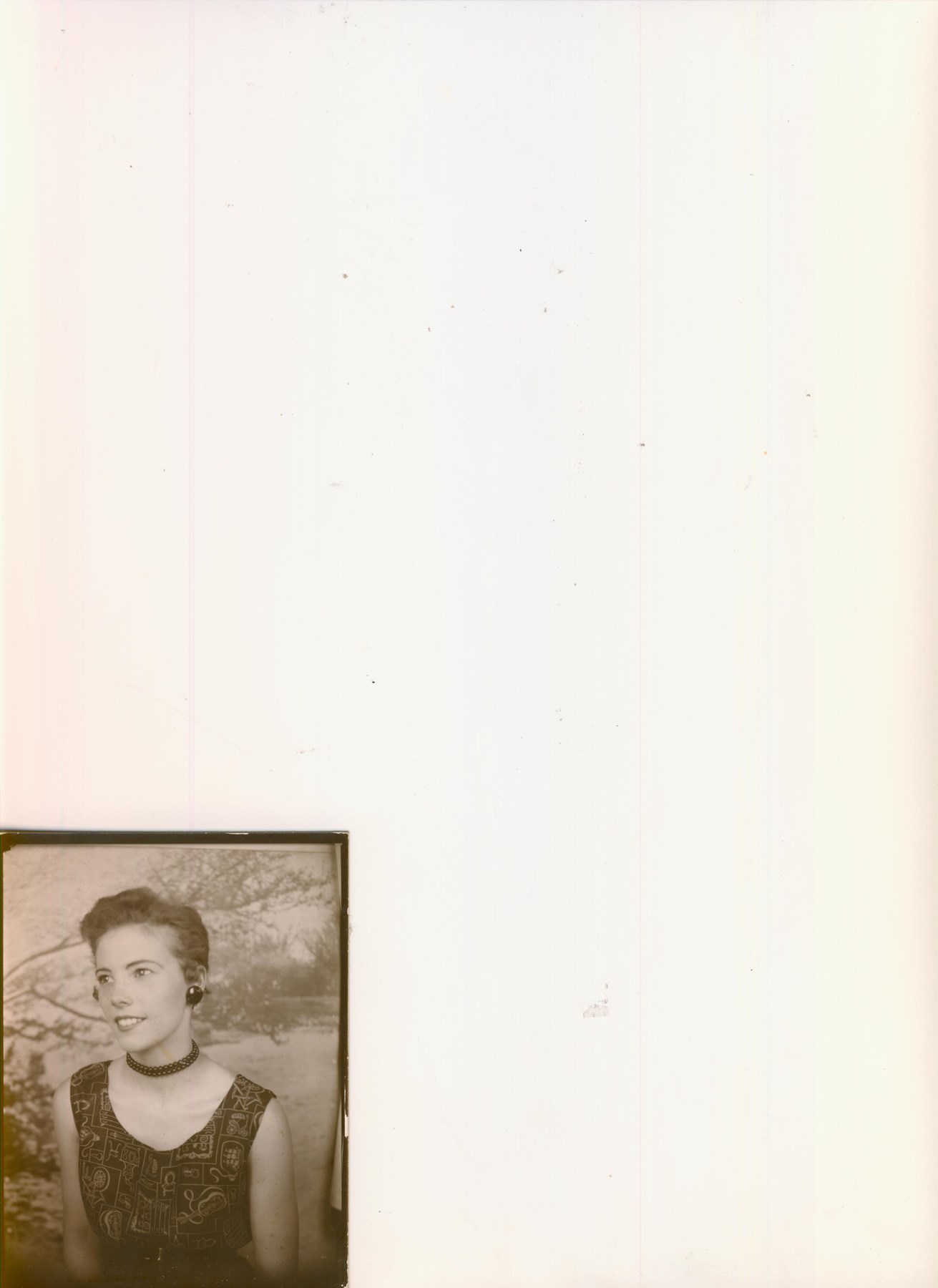 Obituary of Sandra Johnson