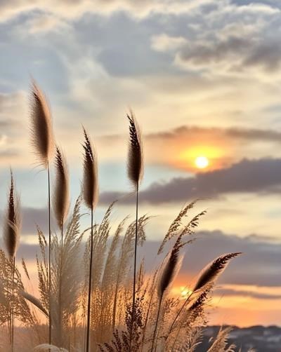 Obituary of Kenneth Leo Jackson Sr.