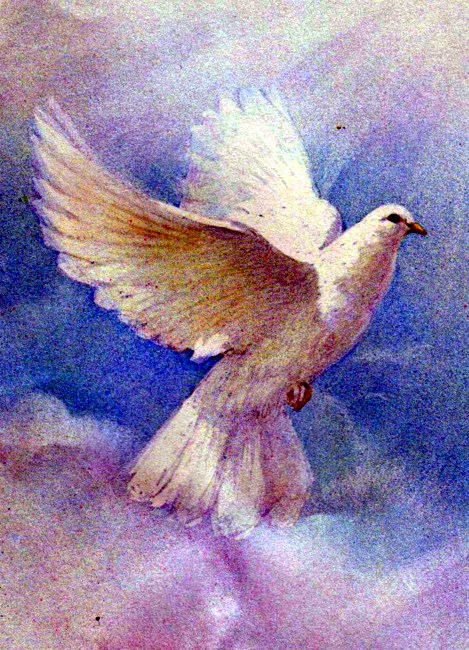 Obituary of Rebecca Oliver