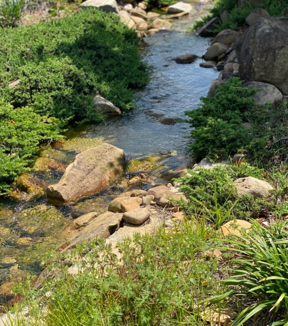 Obituary of Donald Clinton Turner