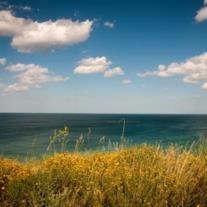 Obituario de Louis Martinez Lopez