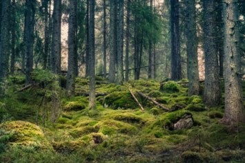 Obituary of Gilbert Alan Smith