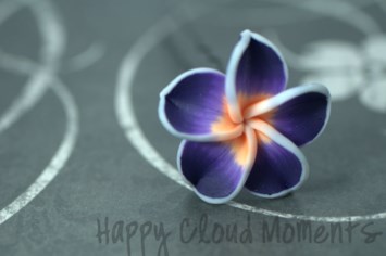 Obituary of Michael Joseph Del Castillo