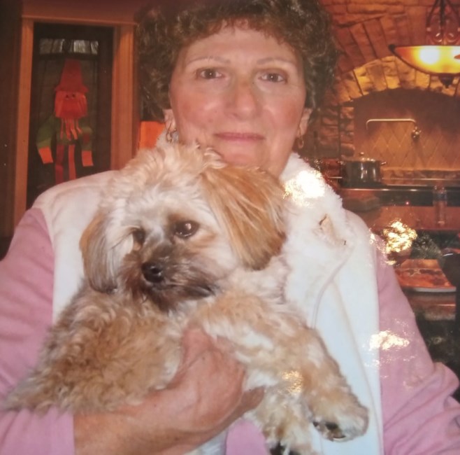 Obituary of Carol H. Shelton