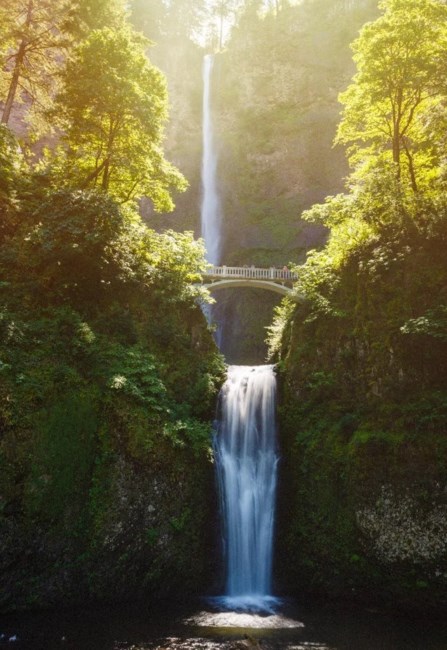 Obituary of John Anthony Riordan