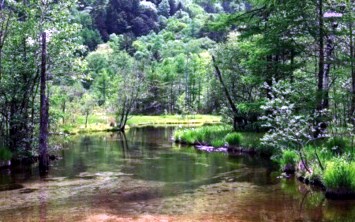 Obituary of Robert Ellsworth Carter