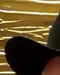 James Partee Obituary - Douglasville, GA