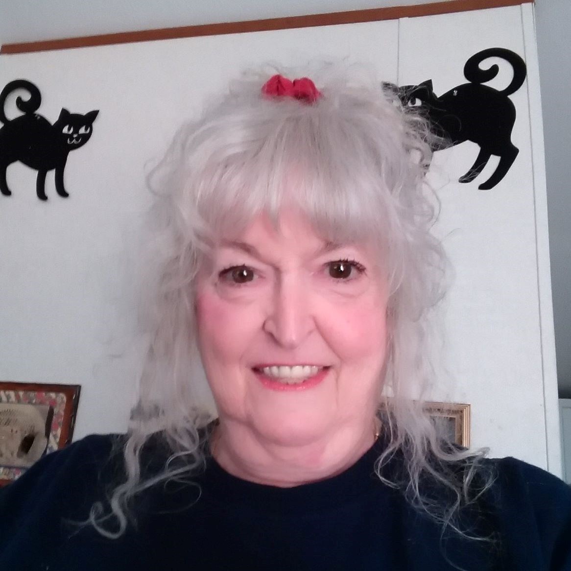 Obituary of Mary Ann Pimental