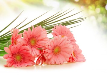 Obituary of Marjorie Loraine Powell Tredwell