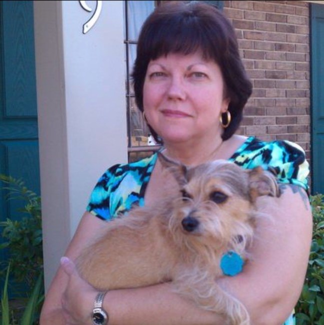 Obituary of Linda Money Snell