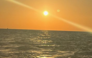 Obituary of Carol Nussbaum