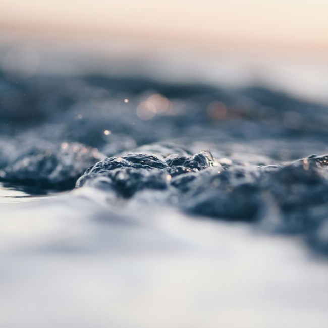 Obituary of Kim Marie de Girolamo