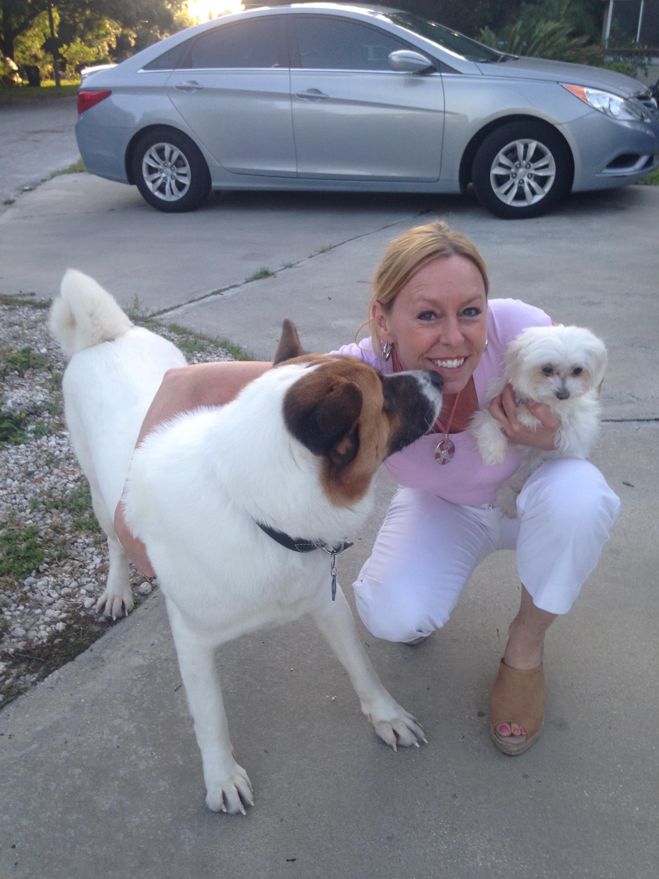 Sheelyn Browne Howell Obituary Brandon, FL