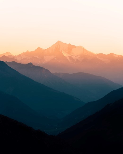 Obituary of Judy Dale Meyer