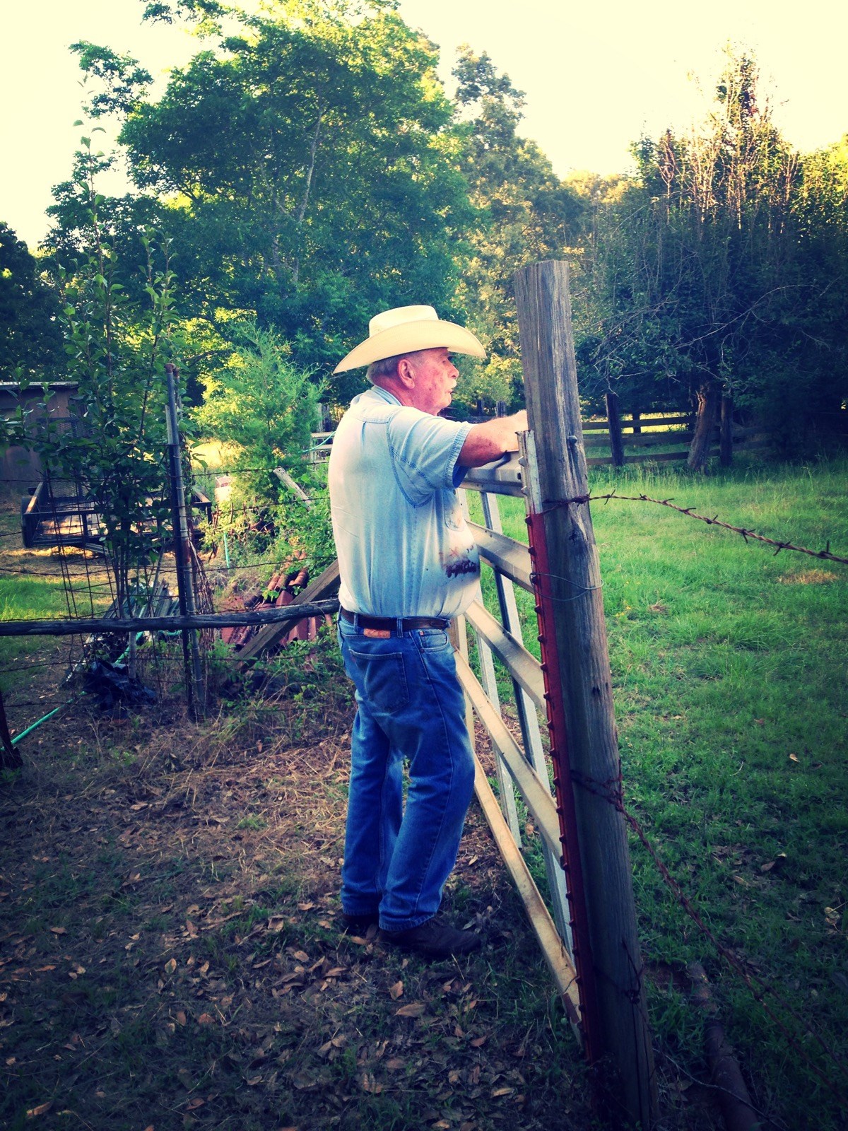 Obituary of Harry Albert Webster Jr.