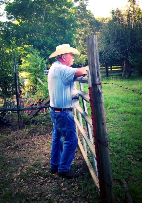 Obituary of Harry Albert Webster Jr.